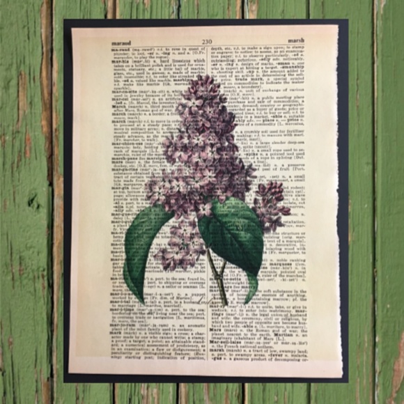 Vintage Dictionary Page Print - Lilacs - Picture 1 of 1